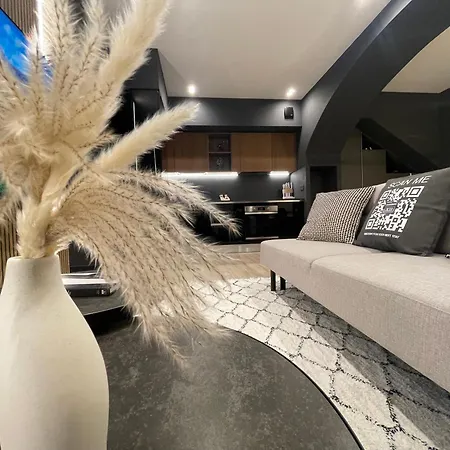 公寓 Luxury Renovated Ground Floor 1br - Of The - Historical Centre